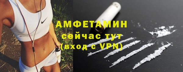 стаф Гусь-Хрустальный