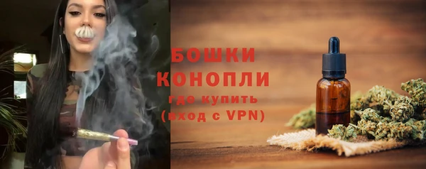 стаф Гусь-Хрустальный
