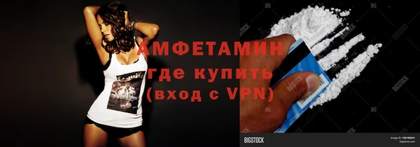 стаф Гусь-Хрустальный