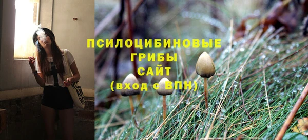MESCALINE Гусиноозёрск