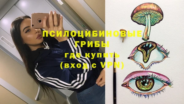 стаф Гусь-Хрустальный