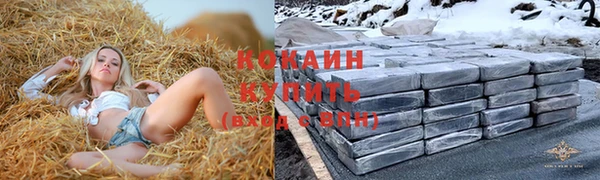 стаф Гусь-Хрустальный
