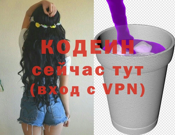 стаф Гусь-Хрустальный