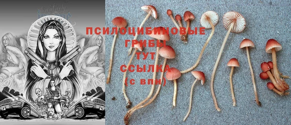 MESCALINE Гусиноозёрск